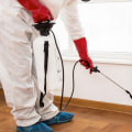 Pest Control San Diego – The Top Providers